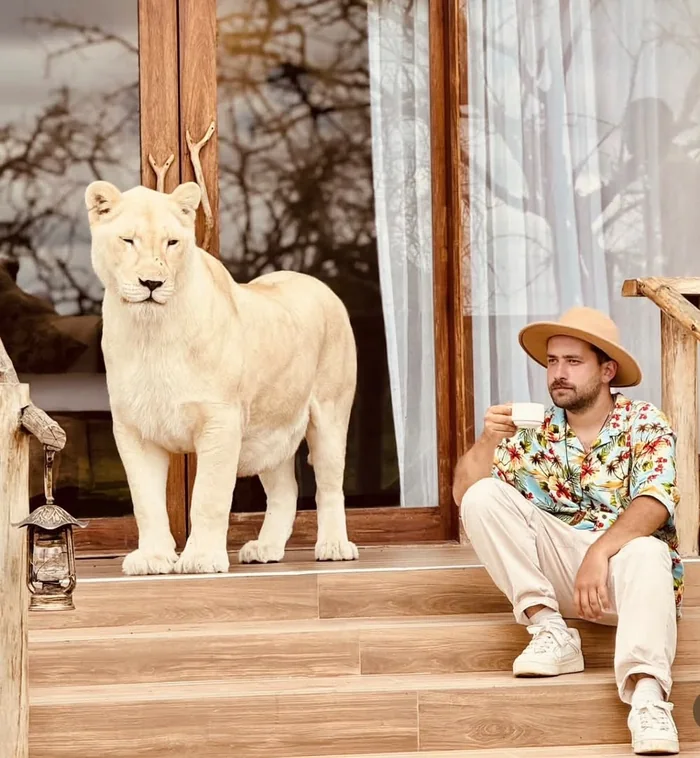 Guest with a white lion on a lodge porch