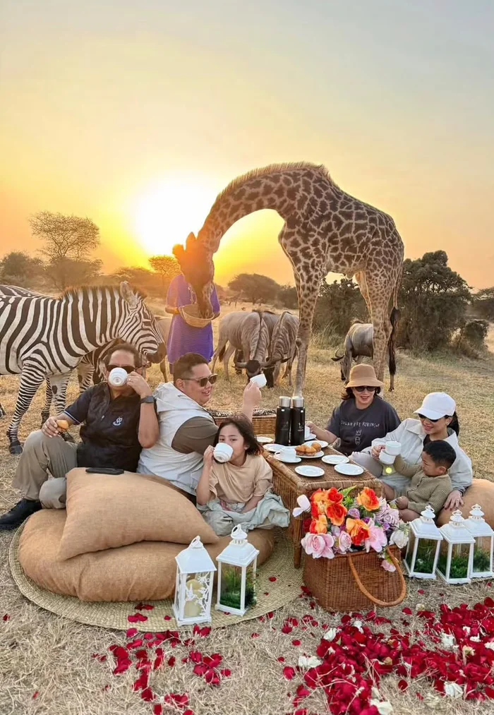 Guests sharing breakfast with giraffes at golden hour