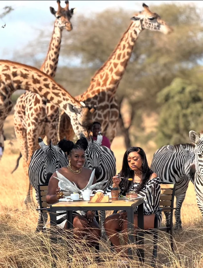 Guest feeding eland antelope