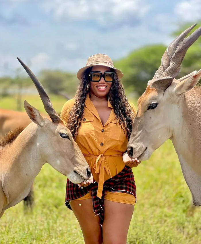 Guests at a picnic table surrounded by giraffes and zebra