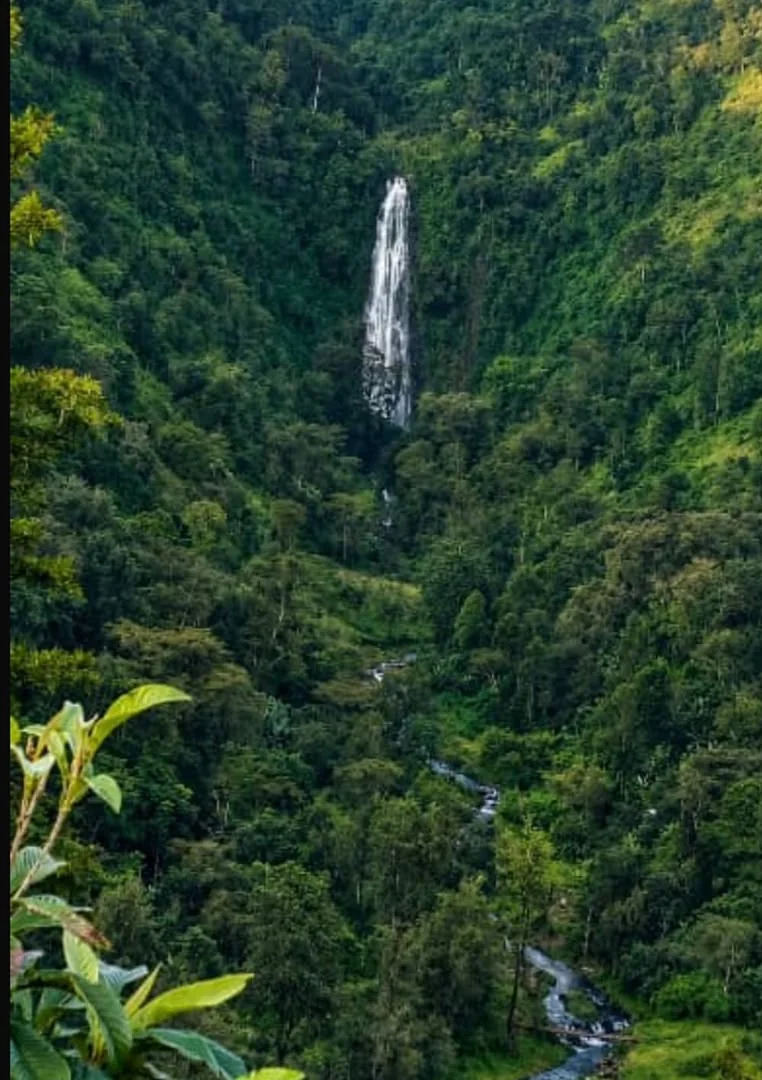 Distant view of Materuni waterfall in a lush valley