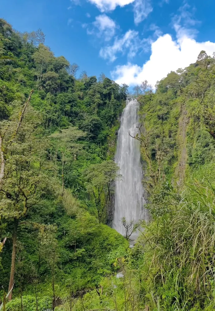 Materuni waterfall framed by rainforest