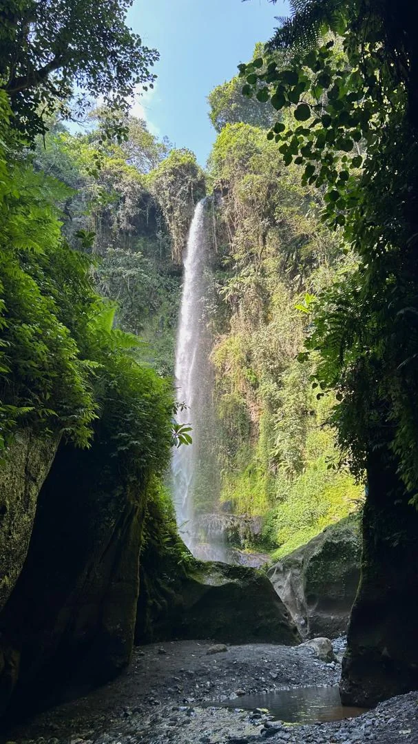 Tall waterfall framed by rainforest at Napuru