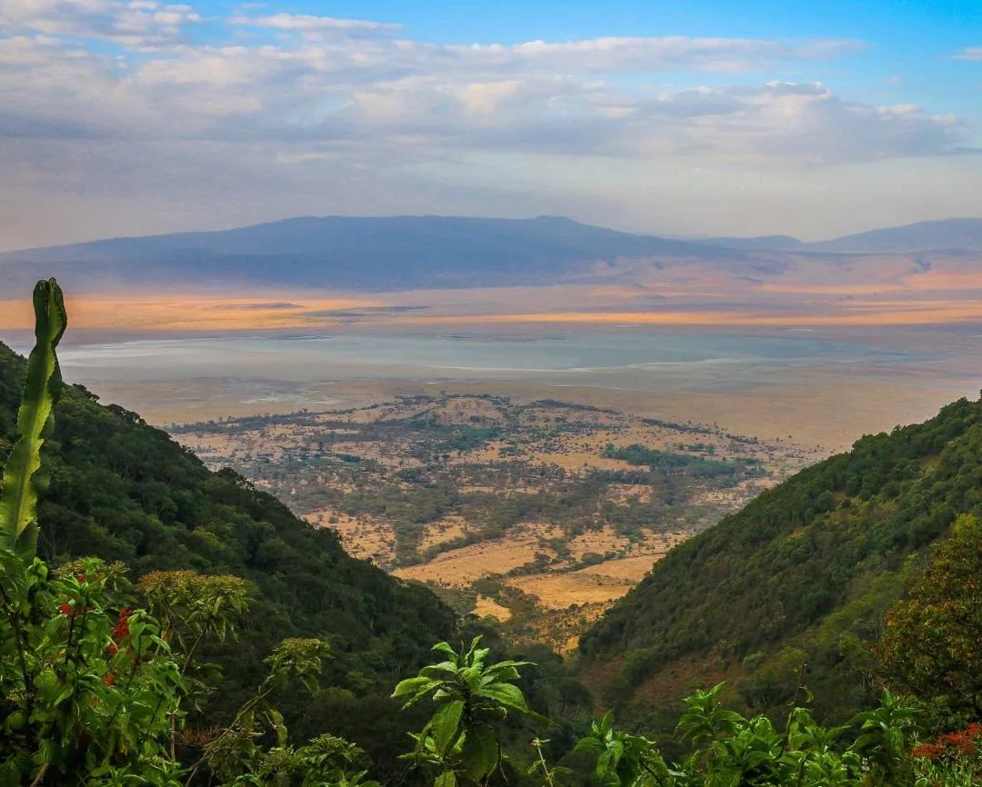 Overlook of the Ngorongoro Crater floor by daylight