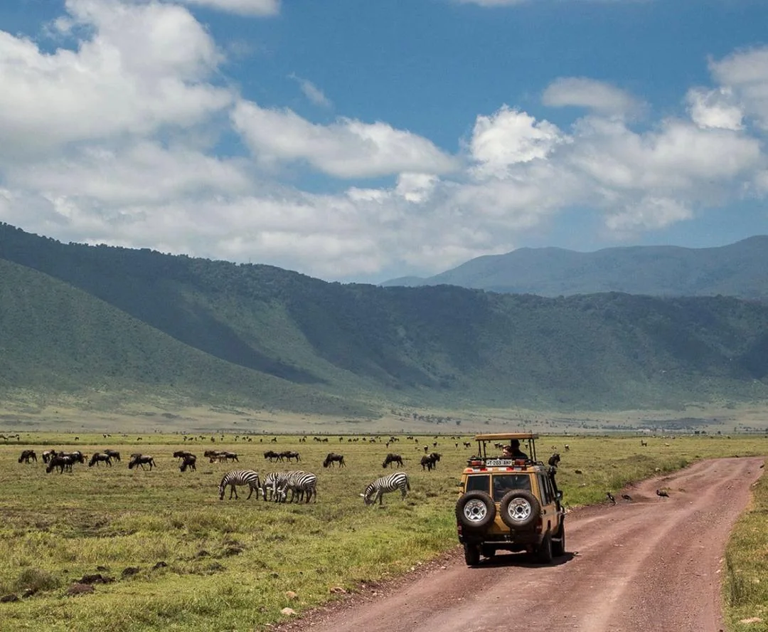 Safari vehicle on the crater floor beside zebra and wildebeest